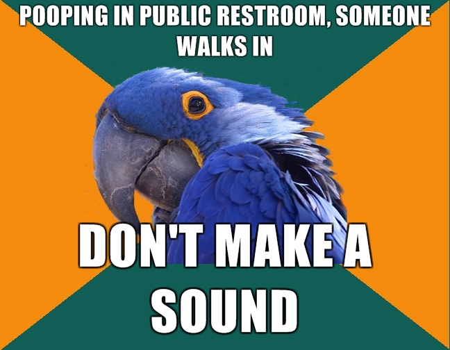 paranoid-parrot-pooping-in-public-restroom-someone-walks-in-dont-make-a-sound.jpg
